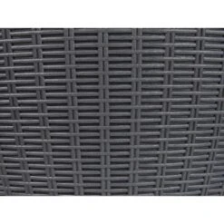 AISA - Koelbox - Zwart - Polypropyleen -Leenbakker Winkel 0747c4151047421ab9aaa7259a8b1d78