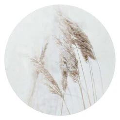Glasschilderij Pampasgrassen Ø 70 Cm Wit