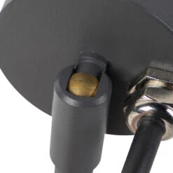 QAZQA Prikspot Antraciet Verstelbaar IP44 - Solo -Leenbakker Winkel 1000014970 0103