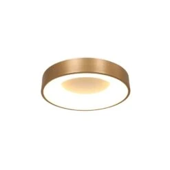 Steinhauer Plafondlamp Ringlede - 1 Lichts - 30x9 Cm - Goud