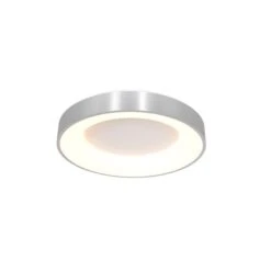 Steinhauer Plafondlamp Ringlede - 1 Lichts - 30x9 Cm - Zilver