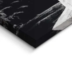 Schilderij Liggende Tijger 40x118 Cm Zwart-Wit -Leenbakker Winkel 1000033778 0103