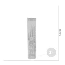 3x Droogbloemen In Glas – Meerkleurig – ↕15 CM -Leenbakker Winkel 1000041309 0102