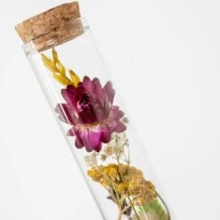 3x Droogbloemen In Glas – Meerkleurig – ↕15 CM -Leenbakker Winkel 1000041309 0103