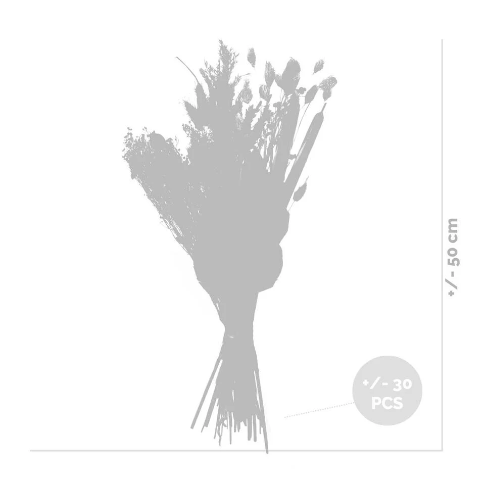 Droogboeket – Zwart/wit – Maat M – Hoogte 50 CM 3 Droogboeket – Zwart/wit – Maat M – Hoogte 50 CM - Afbeelding 3
