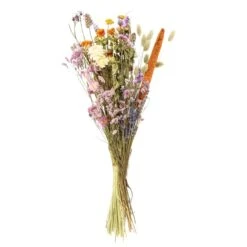 Droogboeket β Meerkleurig β Maat L β Hoogte 60 CM
