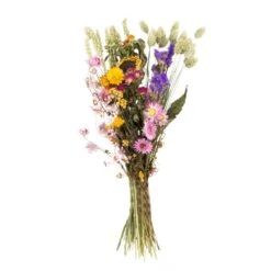 Droogboeket β Meerkleurig β Maat S β Hoogte 35 CM