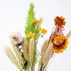 Droog Brievenbusboeket β Meerkleurig β Hoogte 26 CM