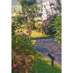 Lucide TATUM - Tuinspot Buiten - LED - 1x4,5W 3000K - IP65 - Antraciet -Leenbakker Winkel 1000046874 0103