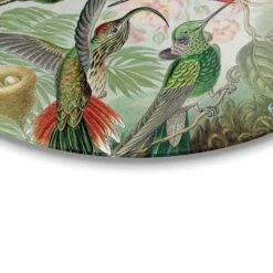 Plexiglasschilderij Hummingbirds Ø 70 Cm Groen 7 Plexiglasschilderij Hummingbirds Ø 70 Cm Groen -Leenbakker Winkel 1000047086 0103