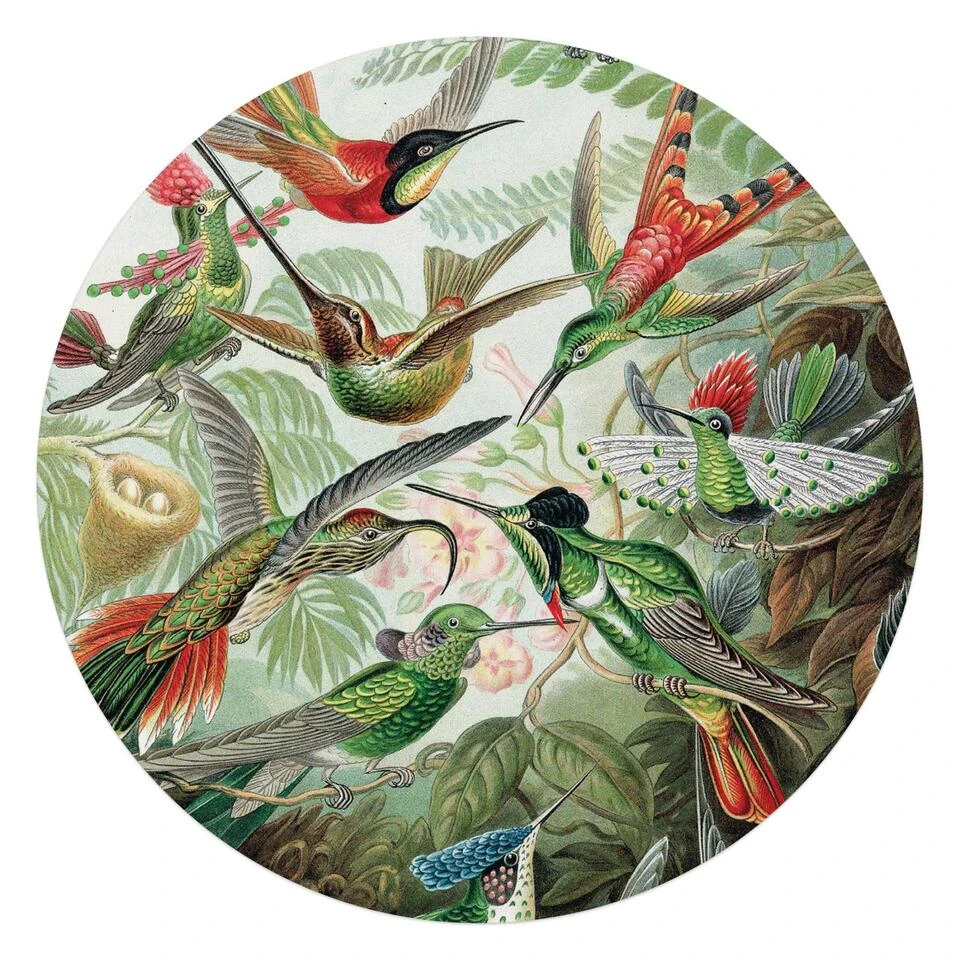 Plexiglasschilderij Hummingbirds Ø 70 Cm Groen 1 Plexiglasschilderij Hummingbirds Ø 70 Cm Groen