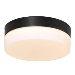Steinhauer Plafondlamp Ikaro - 1 Lichts - 30x7 Cm - Zwart