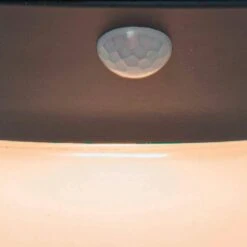 EGLO Corbezzola Wandlamp Buiten - LED - 16 cm - Sensor - Grafiet/Wit 6 EGLO Corbezzola Wandlamp Buiten - LED - 16 cm - Sensor - Grafiet/Wit -Leenbakker Winkel 1000070112 0102