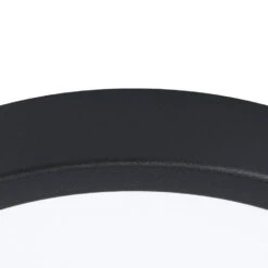 EGLO Argolis 2 Opbouwlamp Buiten - LED - Ø 28,5 cm - Zwart/Wit -Leenbakker Winkel 1000072219 0102