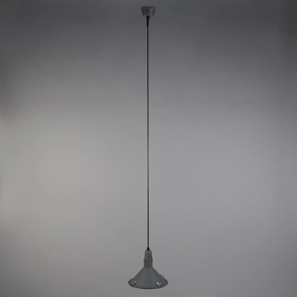 QAZQA Industriële Hanglamp Grijs IP44 - Vida 2 QAZQA Industriële Hanglamp Grijs IP44 - Vida - Afbeelding 2
