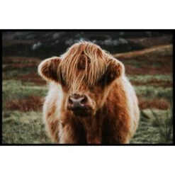 Walljar - Schotse Hooglander - Poster Met Lijst / 70 X 100 Cm