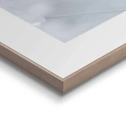 Schilderij Paardenbloem Dauw 50x50 Cm Wit -Leenbakker Winkel 1000096678 0103