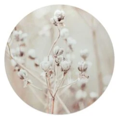 Glasschilderij Gedroogde Tak Ø 50 Cm Beige