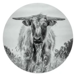 Glasschilderij Hooglander Ø 50 Cm Zwart-Wit