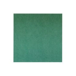 Akoestisch Wandpaneel PET-vilt - 100x100 Cm - Groen