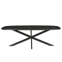 Livingfurn - Eetkamertafel Jesper Deens Ovaal Black 230cm - Mangohout