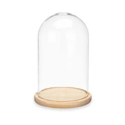 Merkloos Giftdecor Decoratie Stolp - Glas - Houten Beige Plateau - D15 X H25 Cm
