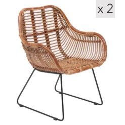 Set Van 2 Metalen En Natuurlijke Rotan Stoelen