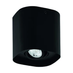 EGLO Caminales-Z Plafonnière - LED - 12.5 Cm - Zwart