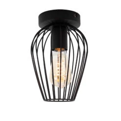 EGLO Newtown Plafondlamp - E27 - Staal - Zwart