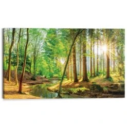 Schilderij Zonnig Bos - 70x118cm - Groen