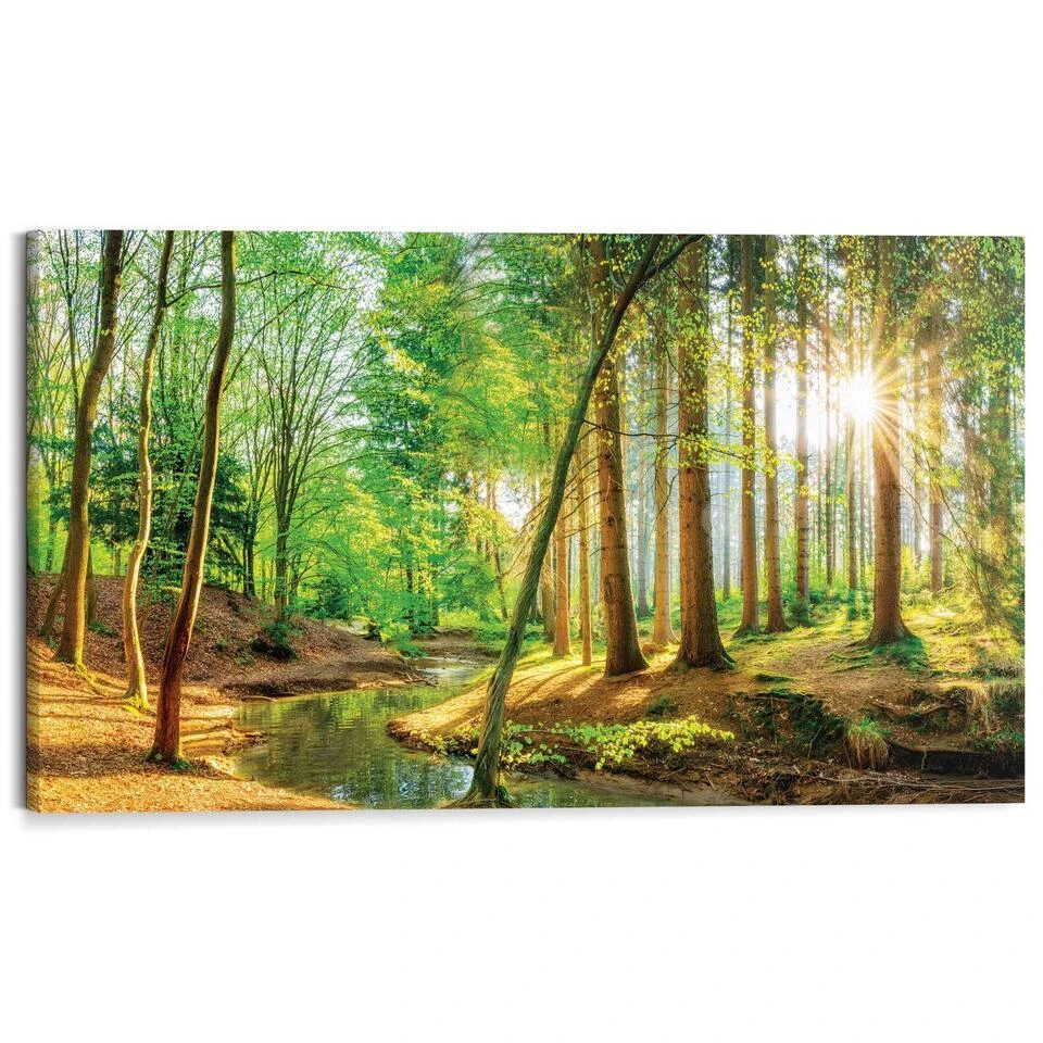 Schilderij Zonnig Bos - 70x118cm - Groen 1 Schilderij Zonnig Bos - 70x118cm - Groen