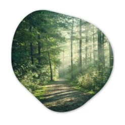 MuchoWow Wand Decoratie 90x90cm Bos Pad Zon Bomen Groen