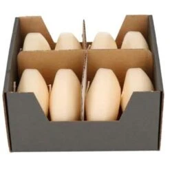 Enlightening Candles Drijfkaarsen - 8 Stuks - Creme - Ca 8 Branduren -Leenbakker Winkel 1245890757 0102