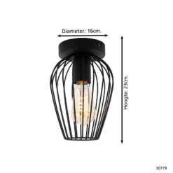 EGLO Newtown Plafondlamp - E27 - Staal - Zwart -Leenbakker Winkel 1ae48828ae8345fcb04544e5c9418d63