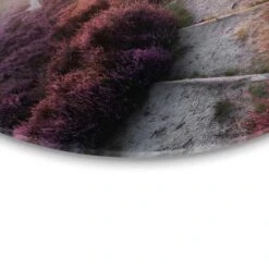 Glasschilderij Wandelpad Langs De Heide - Ø 70cm - Paars -Leenbakker Winkel 2c07c4d53f1b453d9c07bad30febc51f