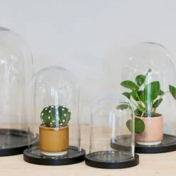 Floran Decoratie Stolp - Glas - Houten Plateau - D22 X H30 Cm -Leenbakker Winkel 432fa70d545c4c16b9c260d2ca8c9b85