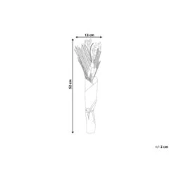 Beliani Droogbloemen Boeket CABRA - Natuurlijk Droogbloemen -Leenbakker Winkel 5230707e8aa047cea6856796b2102a4c