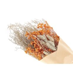 Beliani Droogbloemen Boeket CERCEDILLA - Oranje Droogbloemen -Leenbakker Winkel 5f693edaa4714dd48830202c12a93b43