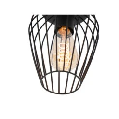EGLO Newtown Plafondlamp - E27 - Staal - Zwart -Leenbakker Winkel 601690446230461cb8c56848f52fd7bf