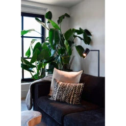 Calex Smart LED-reflectorlamp - Transparant - 5W -Leenbakker Winkel 60606256 1003