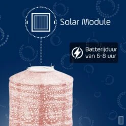 LUMIZ Solar Buitenverlichting Lelie Set - 2 Stuks -Leenbakker Winkel 6f68b35058be470c99d17b34489e5bf4
