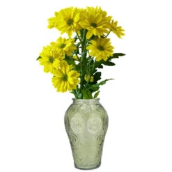 Merkloos DK Design Boeket Vaas Circle - Glas - Zeegroen - 15 X 25 Cm -Leenbakker Winkel 7d00bcde0f584ca18bca1b761bdee7a0