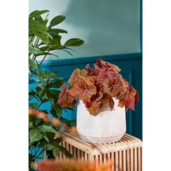 Mica Decorations Yonker Plantentafel - Set Van 2 - Bruin -Leenbakker Winkel 8e0ac5a62a8347c380c660794b663704