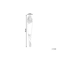 Beliani Droogbloemen Boeket BRUNETE - Natuurlijk Droogbloemen -Leenbakker Winkel 977e8dd172924d009f1b5477cf1a1e61