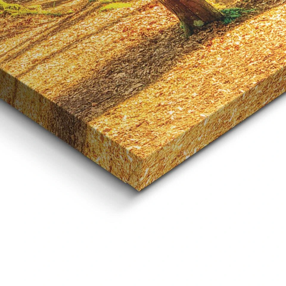 Schilderij Zonnig Bos - 70x118cm - Groen 4 Schilderij Zonnig Bos - 70x118cm - Groen - Afbeelding 4