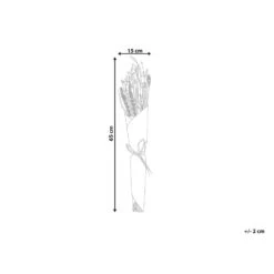 Beliani Droogbloemen Boeket PAMPELUNA - Rood Droogbloemen -Leenbakker Winkel c70c3b8c24ef432f9b608e32f3e4c36f