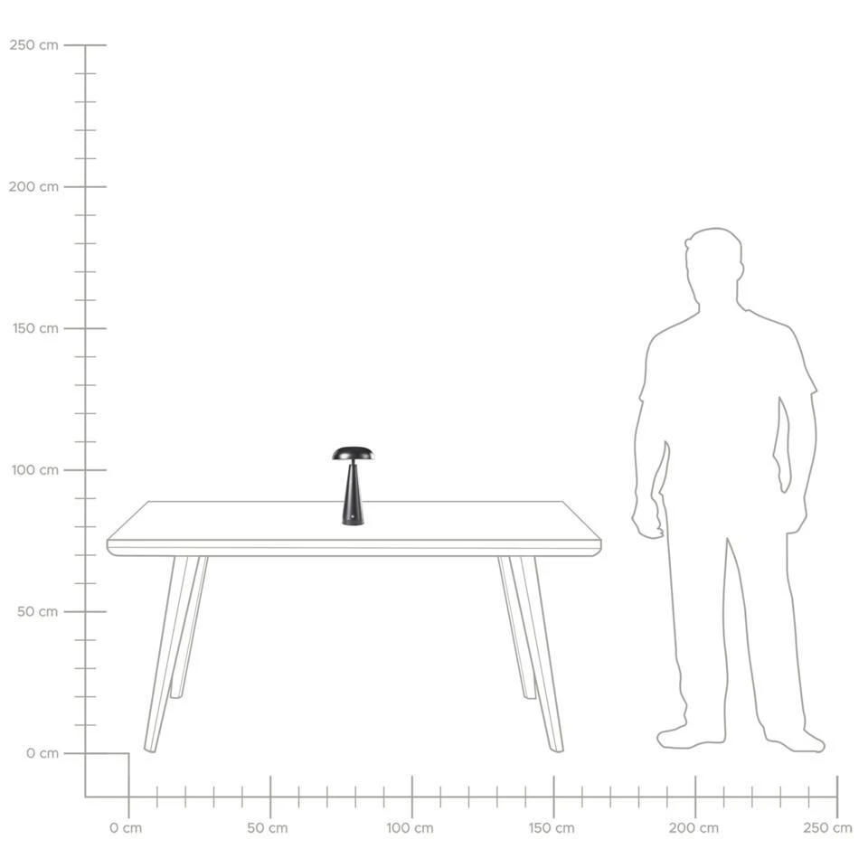 BOCONO - Draadloze LED Tafellamp - Zwart - IJzer 9 BOCONO - Draadloze LED Tafellamp - Zwart - IJzer - Afbeelding 9