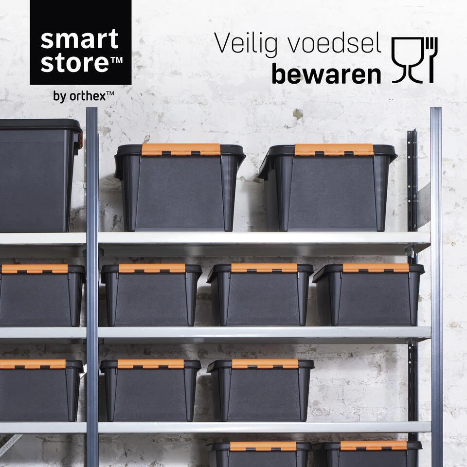 SmartStore Stevige Opbergbox 50L Set Van 2 - 59x39x34cm 7 SmartStore Stevige Opbergbox 50L Set Van 2 - 59x39x34cm - Afbeelding 7